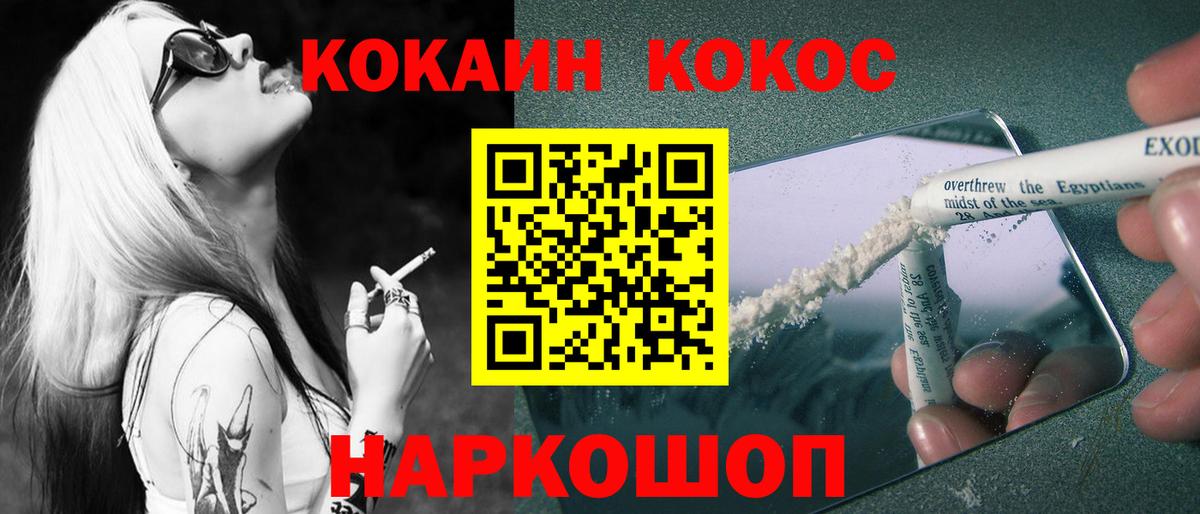 Бошки Шишки Тара