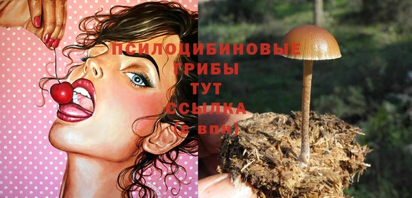 эйфоретик Нягань