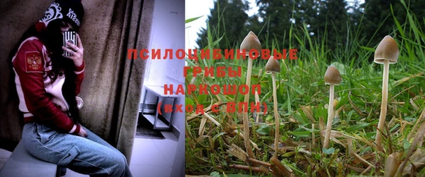 спиды Нязепетровск