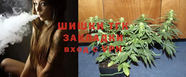 ПСИЛОЦИБИНОВЫЕ ГРИБЫ Новозыбков