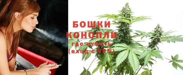 прущая мука Няндома