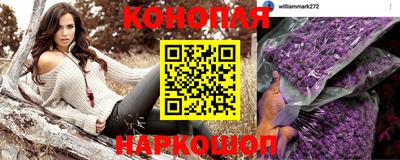 амфетамин Гай