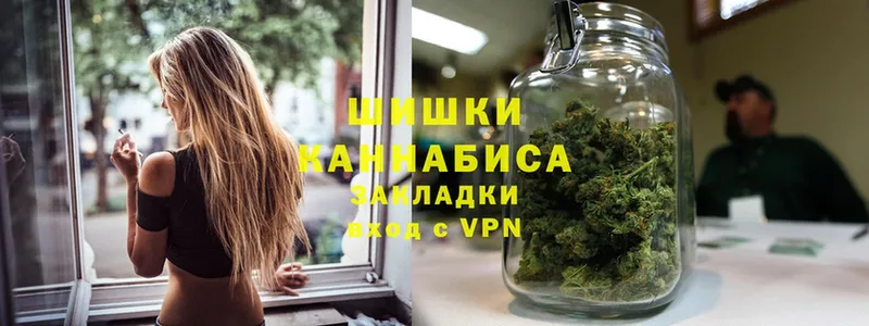 shop формула  Тара  МАРИХУАНА гибрид 